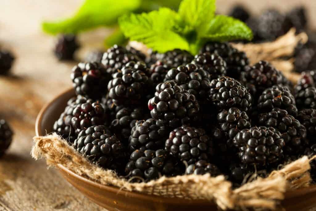 Fresh Raw Organic Blackberries