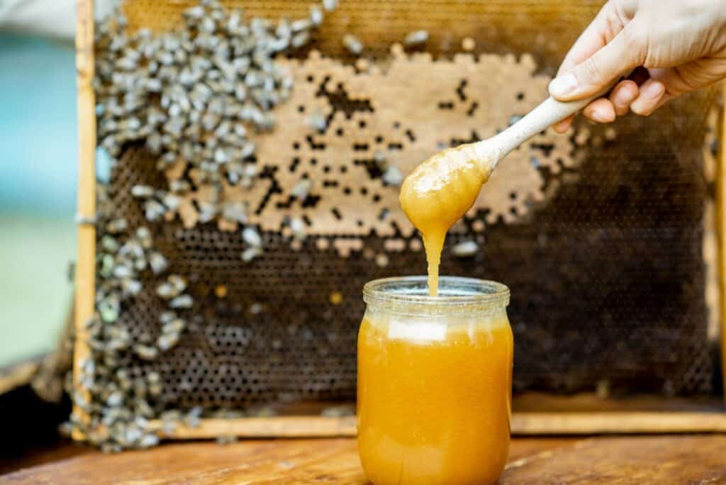 Fresh honey on the beehive