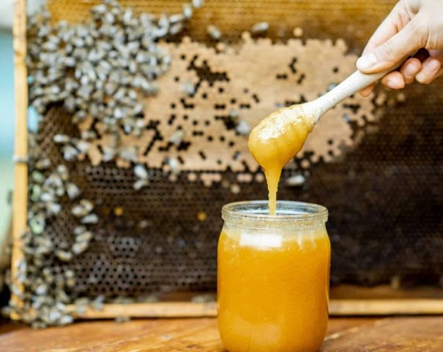 Fresh honey on the beehive